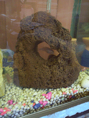 Troy-Stones Aquarium Lava